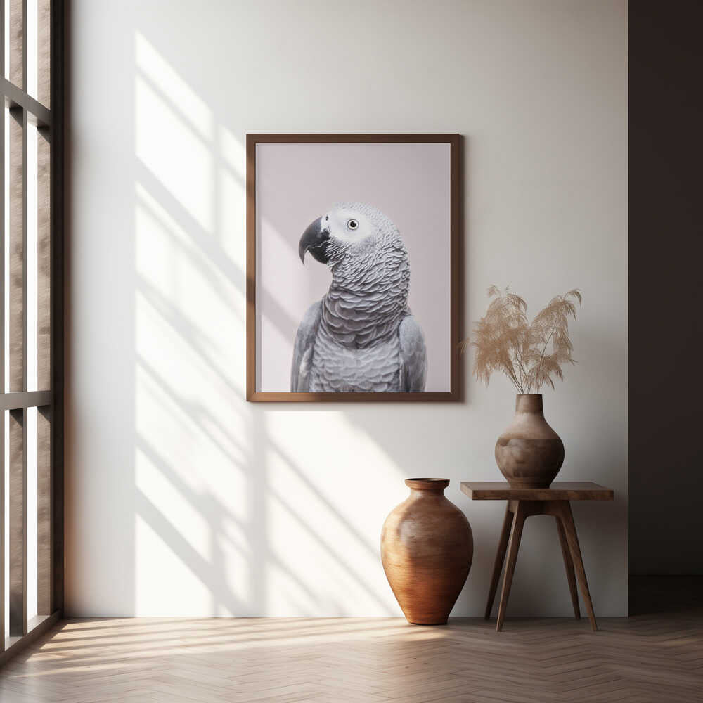 African Grey Poster