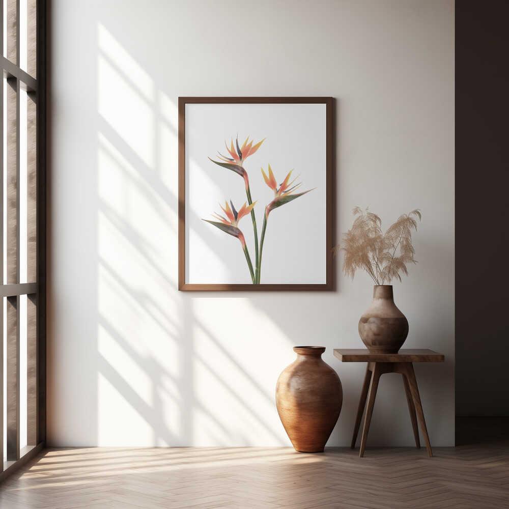 Birds of Paradise Poster