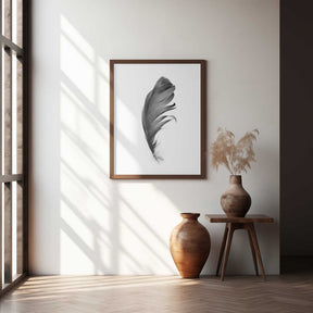 Feather Poster