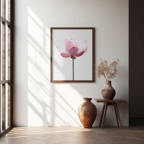 Lotus Flower Poster