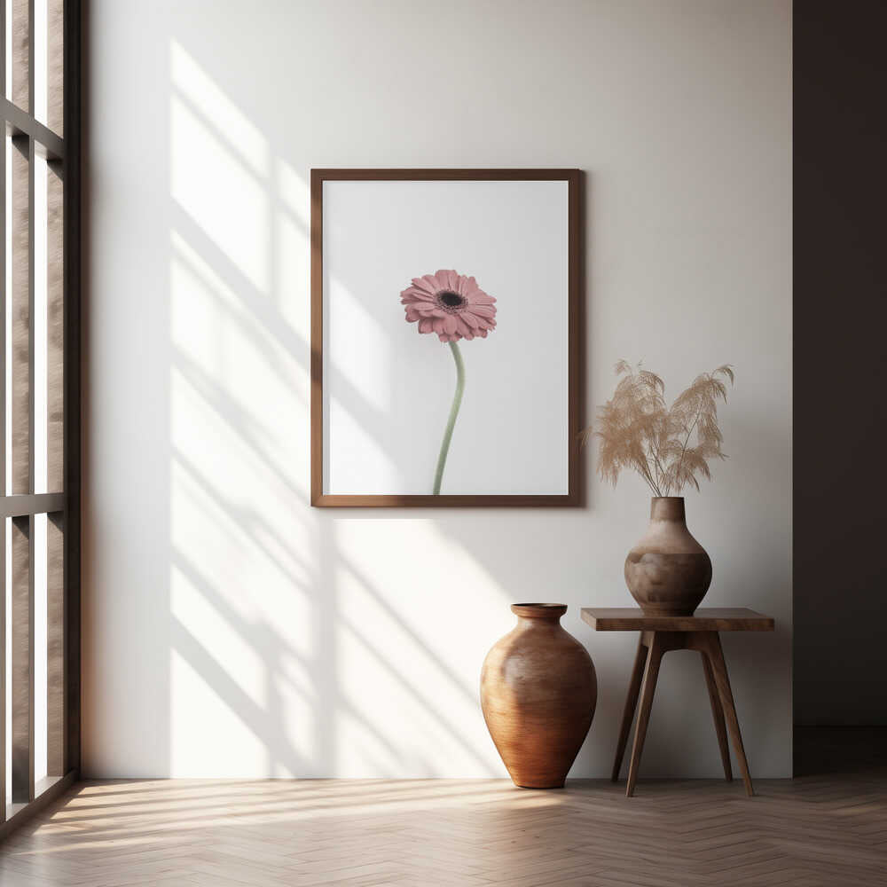 Pink Gerbera Poster