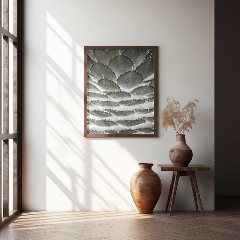 Spiral Succulent Poster