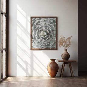 Spiral Succulent Maze Poster