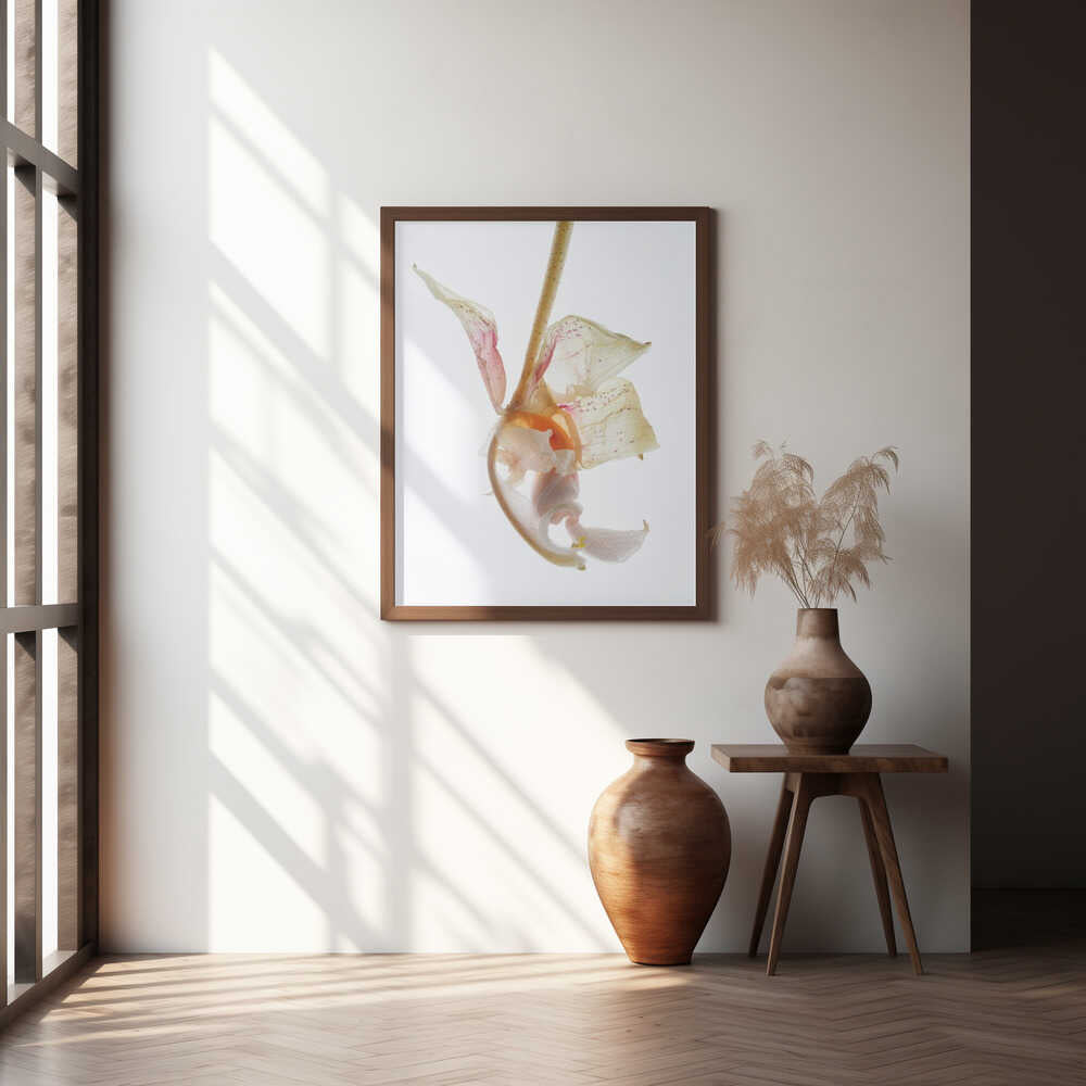 Petal Symphony Poster