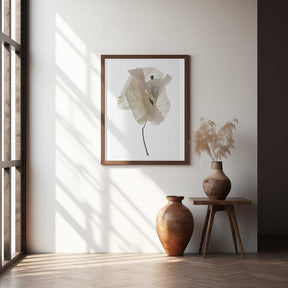Petal Whisper Poster