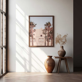 Palm Shadows Poster