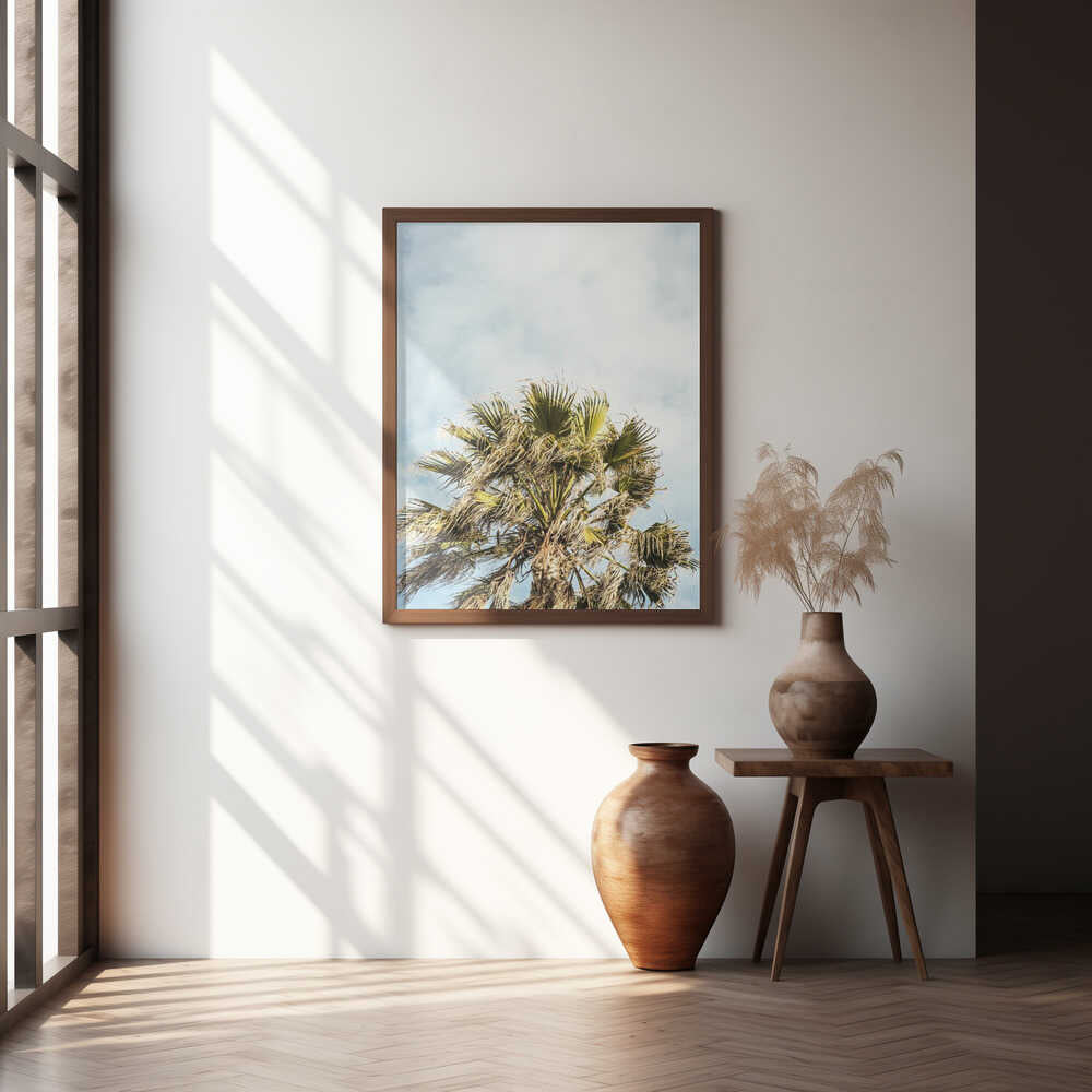 Sunlit Fronds Poster