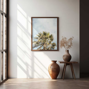 Sunlit Fronds Poster
