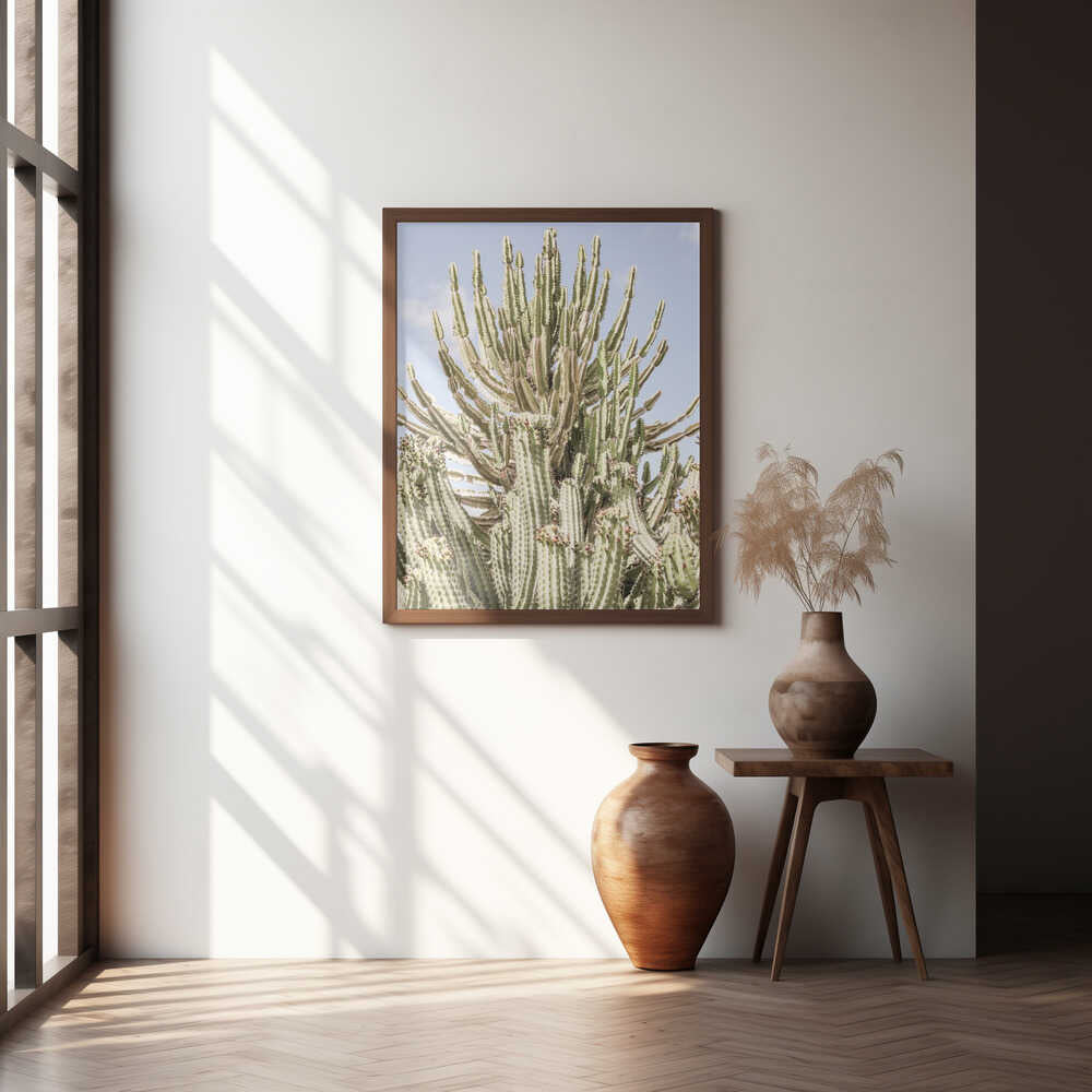 Cactus Symphony Poster