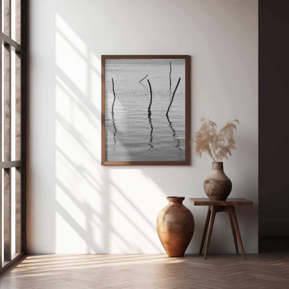 Silent Reflections Poster