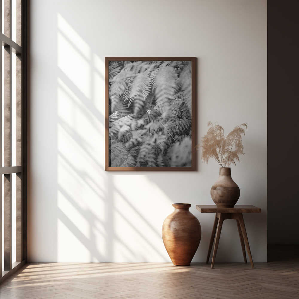 Black And White Photograph Poster