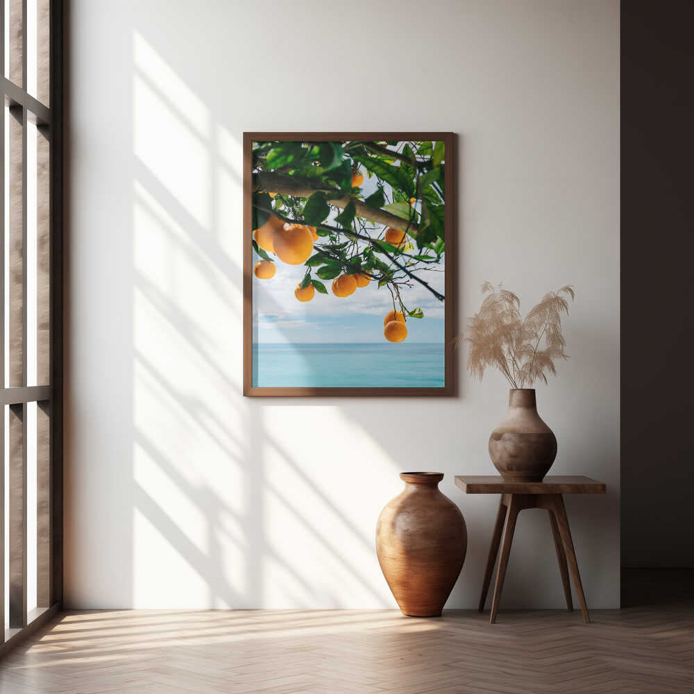 Amalfi Coast Oranges IV Poster