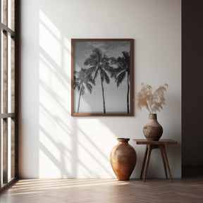 Hawaiian Palms IV Poster