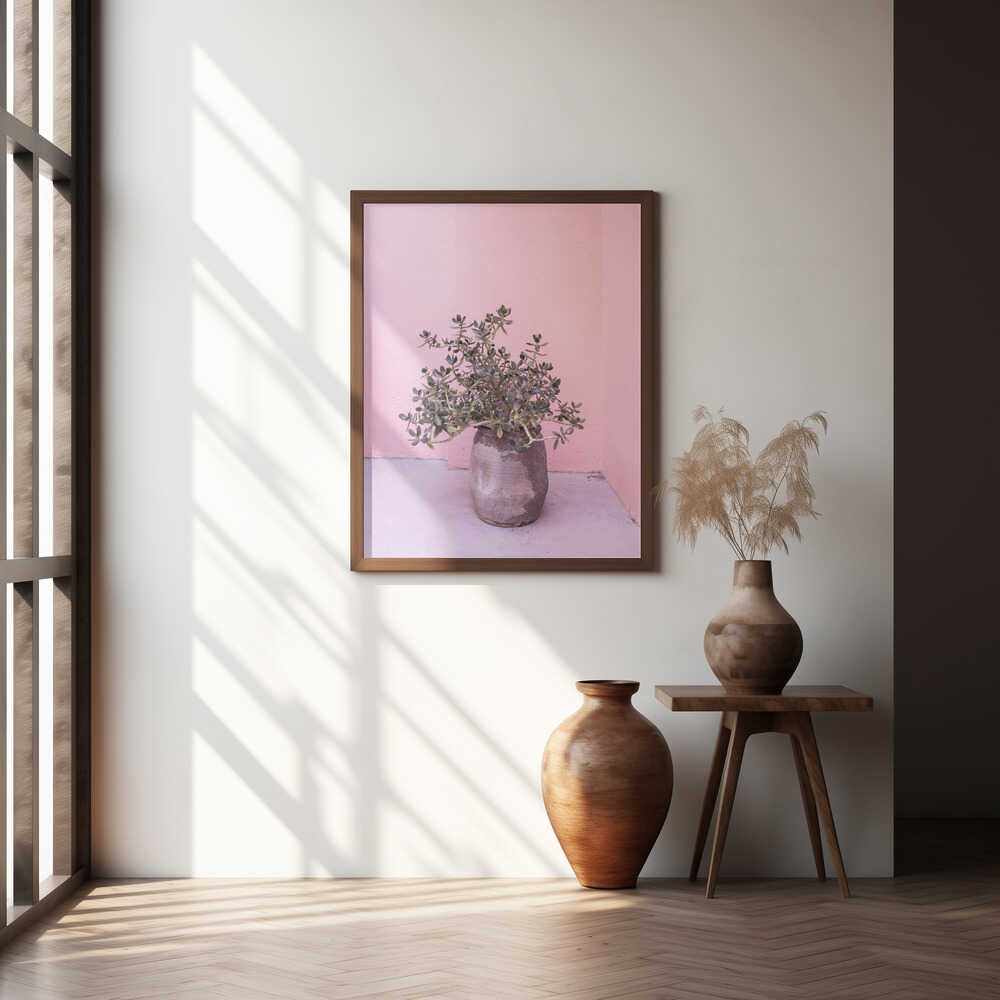Spanish Rustic Succulent Poster