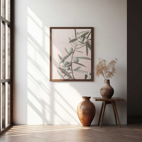 Olives Poster