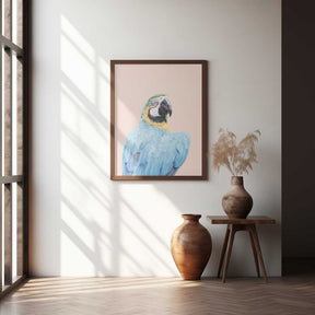Blue Macaw Poster
