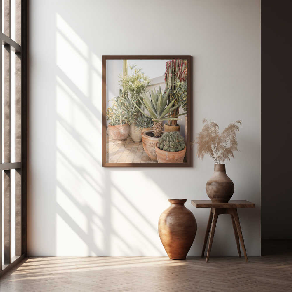 Garden with Various Potted Succulents and Cacti Poster