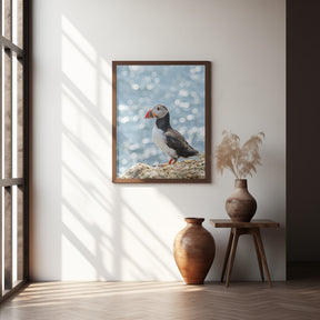 Scottish Puffin Poster