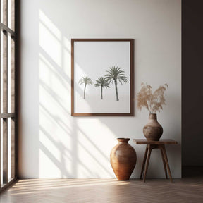 Palms Poster