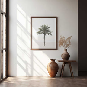 Palm Poster