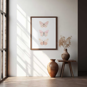 Butterfly 4 Poster