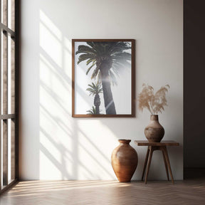Palm Trees Poster
