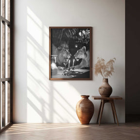 Lion’s Candlelight Dinner Poster