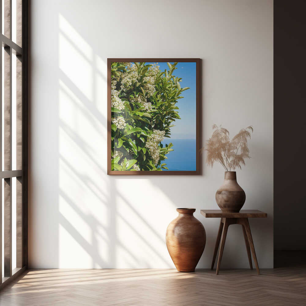 Amalfi Coast Flowers IV on Film Poster