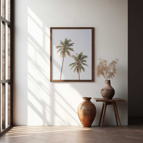 Palm Trees Poster