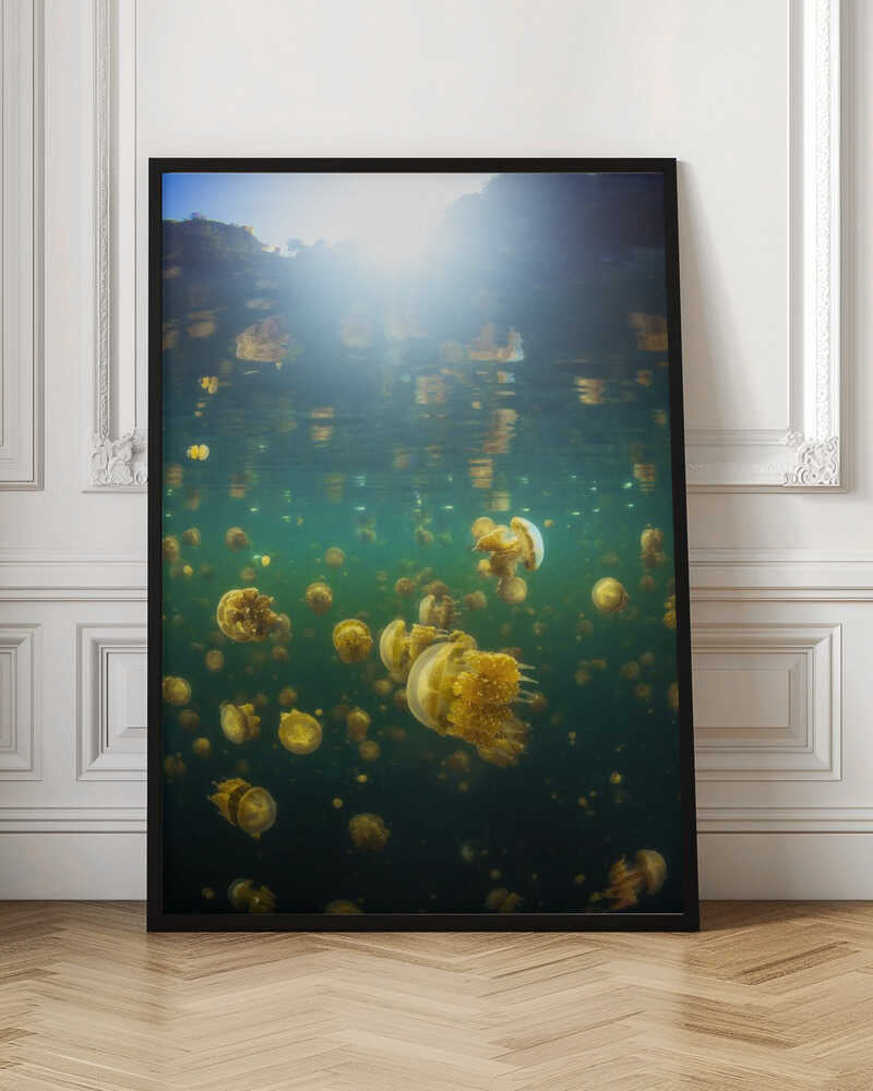 Lenmakana Jellyfish Poster