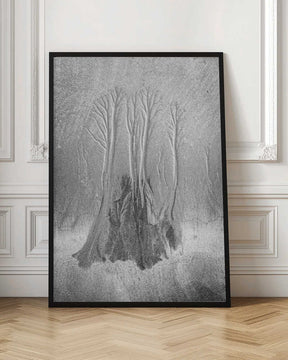 Mangrove… Poster