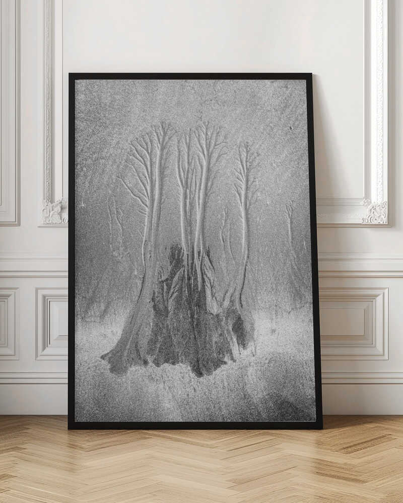 Mangrove… Poster