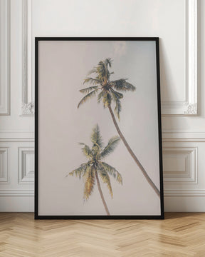 Tropical Palms Poster