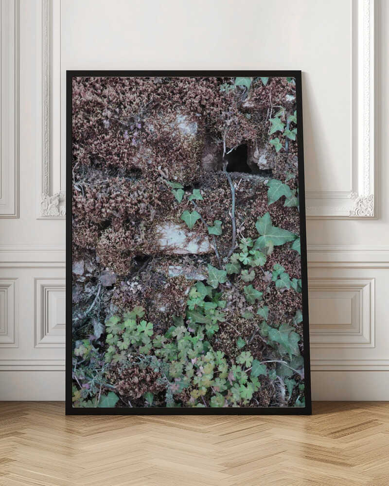 Climbing Poster