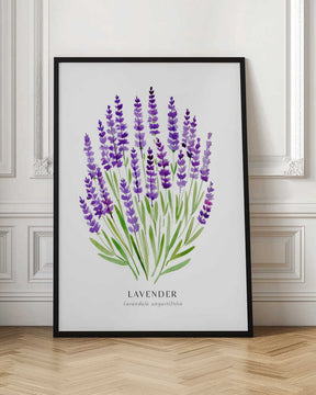 Lavender I Poster