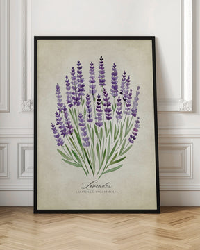 Lavender vintage Poster