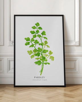 Parsley I Poster