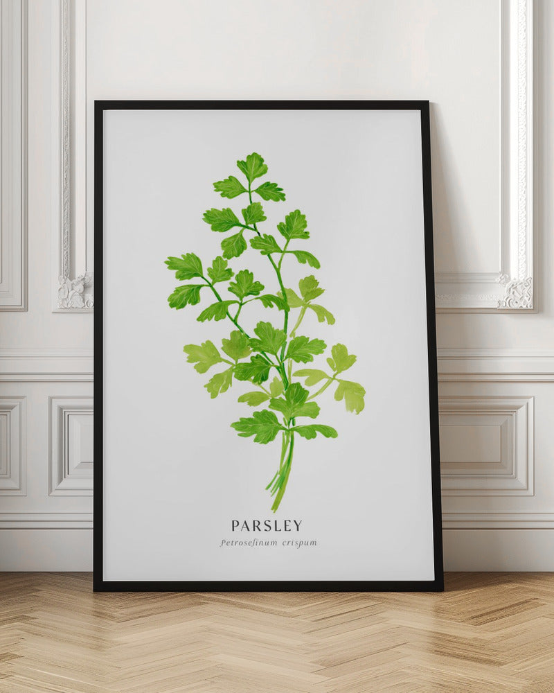 Parsley I Poster