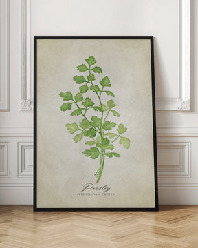 Parsley vintage Poster