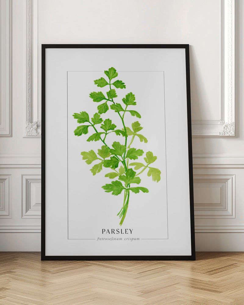 Parsley II Poster