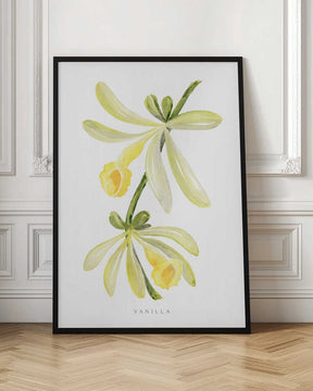 Watercolor vanilla orchid Poster