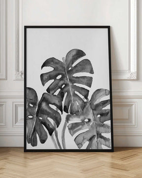 Monstera leaves in loose watercolor bw Poster