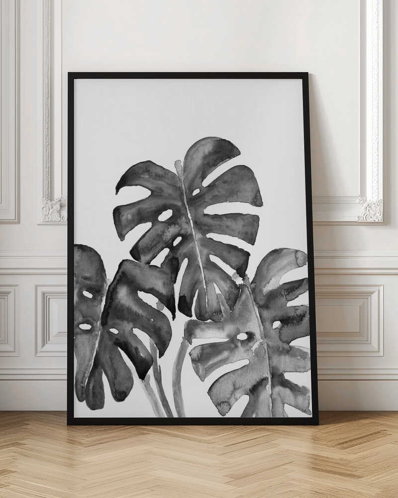 Monstera leaves in loose watercolor bw Poster
