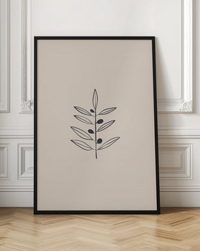 Olive Branche Poster