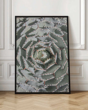 Spiral Succulent Maze Poster