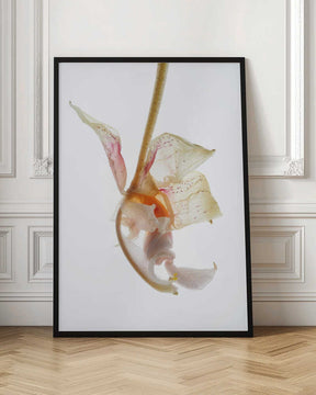Petal Symphony Poster