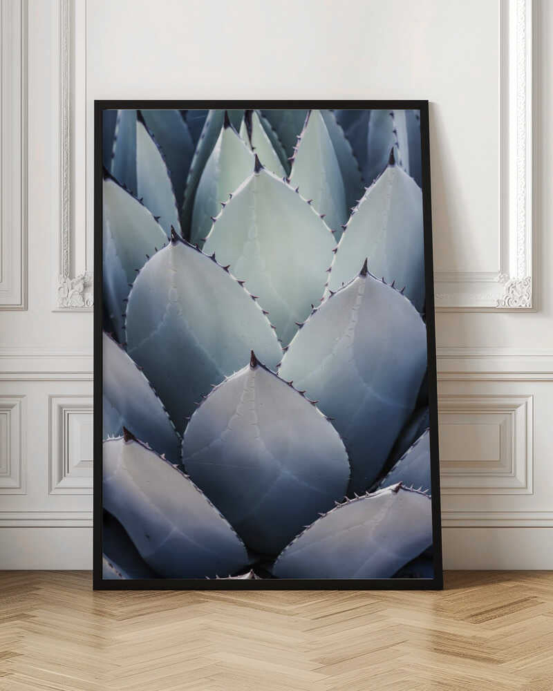 Agave Geometry Poster