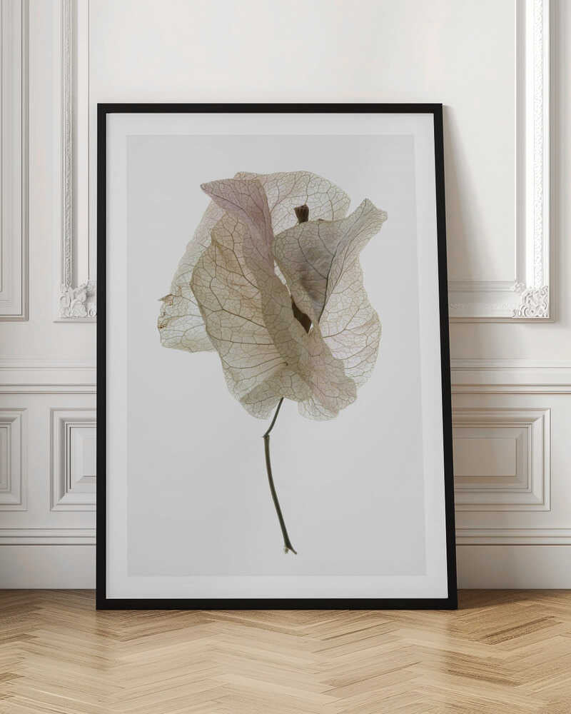 Petal Whisper Poster