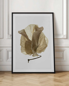 Whispering Petals Poster