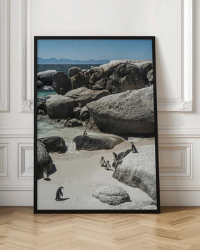 Penguin Cove Serenity Poster